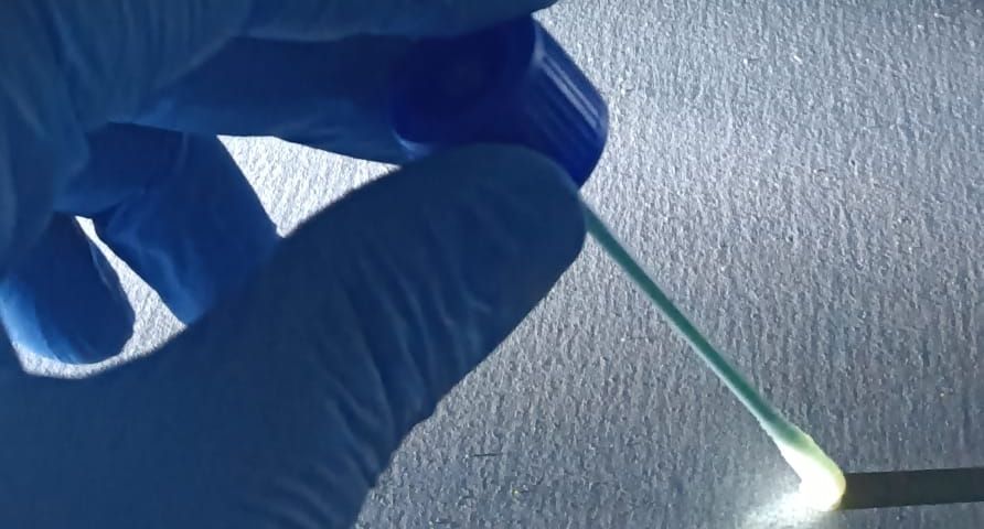 Campionamento microbiologico per il laboratorio. Campionamento microbiologico su superficie interna di impianto aeraulico per analisi in laboratorio accreditato ACCREDIA — Rentacs, Service Key Group